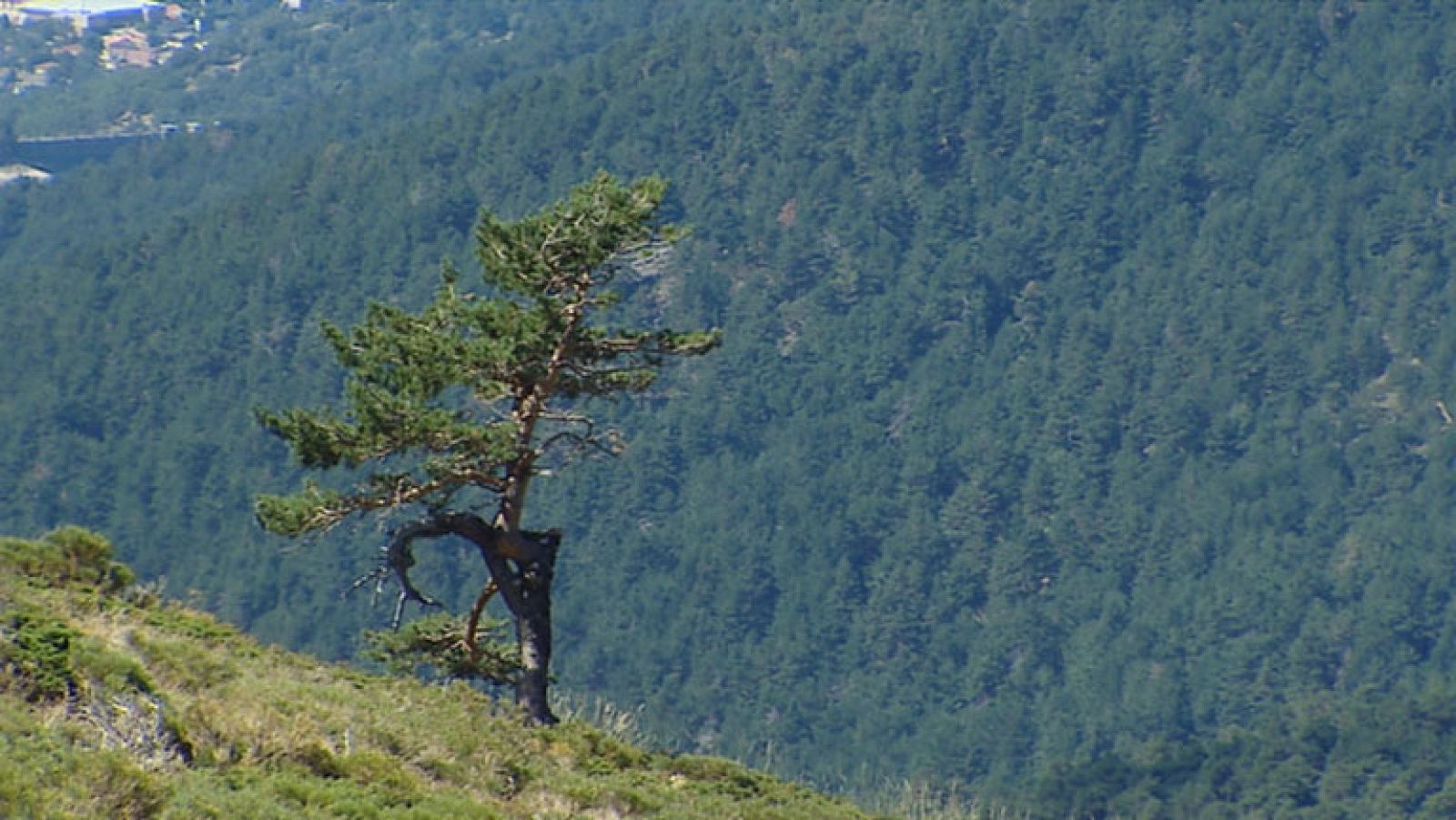 Nuestros parques nacionales ya acusan los efectos del cambio climático