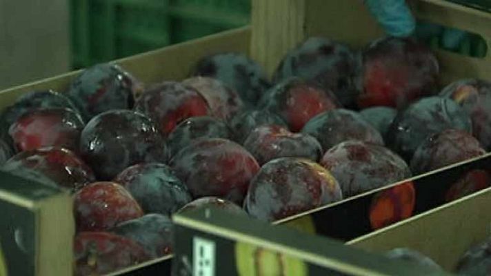 El veto ruso a los alimentos españoles