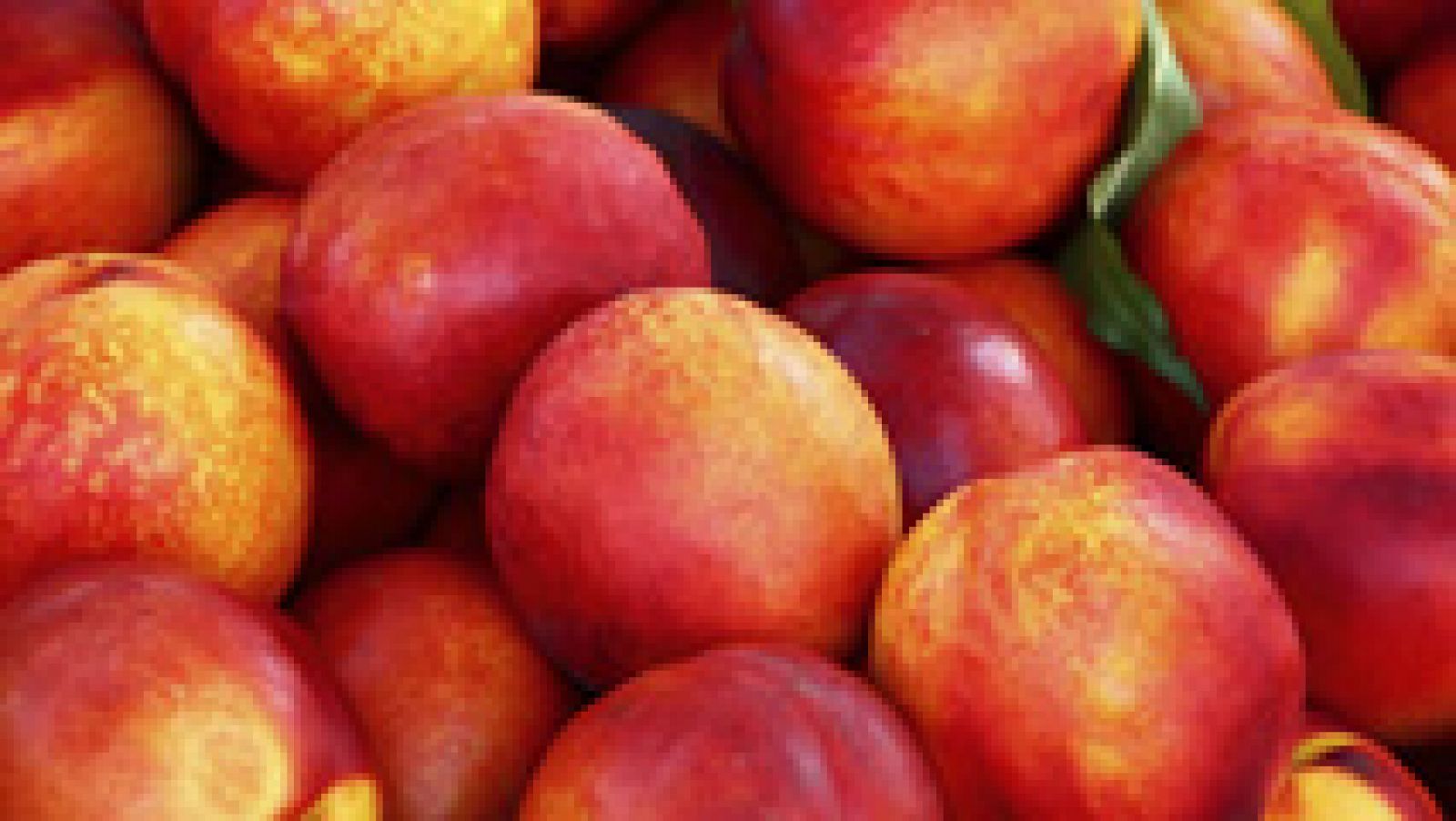 Los productores de melocotones y nectarinas, entre los perjudicados por el veto ruso