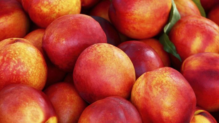 Telediario 1 - Consecuencias del embargo ruso