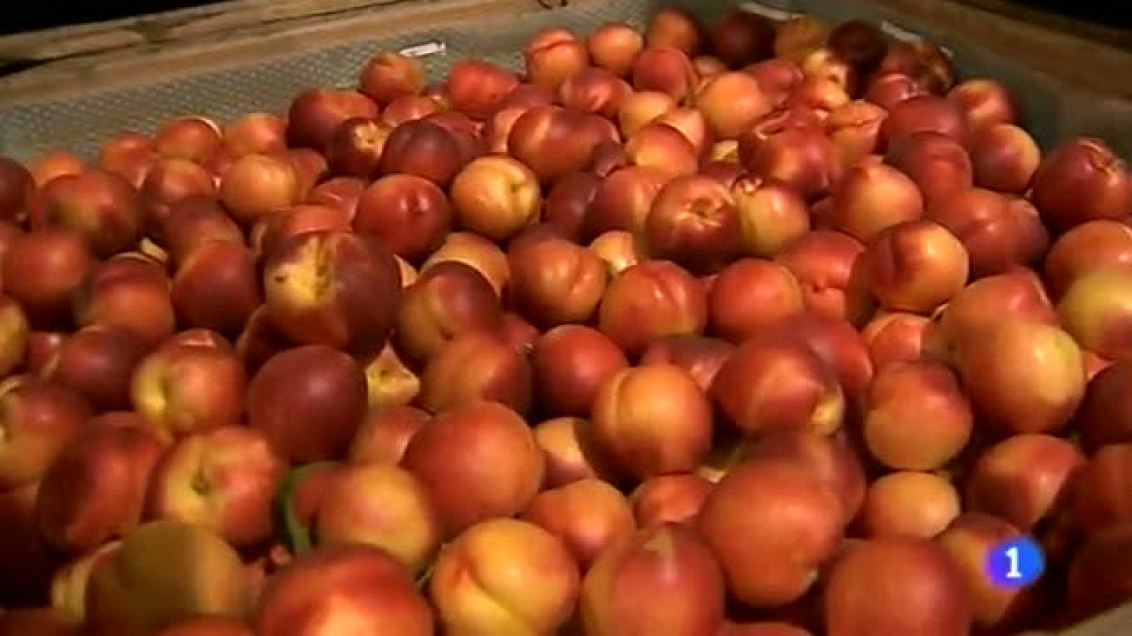 Noticias Aragón-13/08/14 | Ver