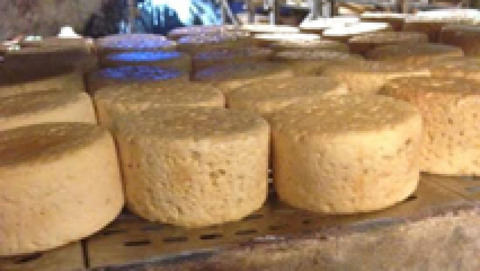 ¿Qué es eso? ¡Éso es un riquísimo queso! 