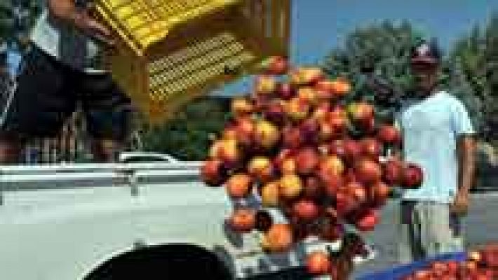 Agricultores llevan frutas y hortalizas al consulado ruso