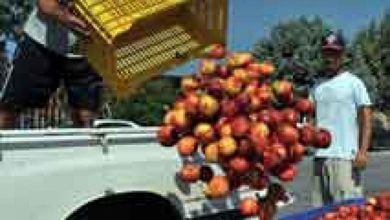 Los agricultores llevan frutas y hortalizas al consulado ruso en Sevilla