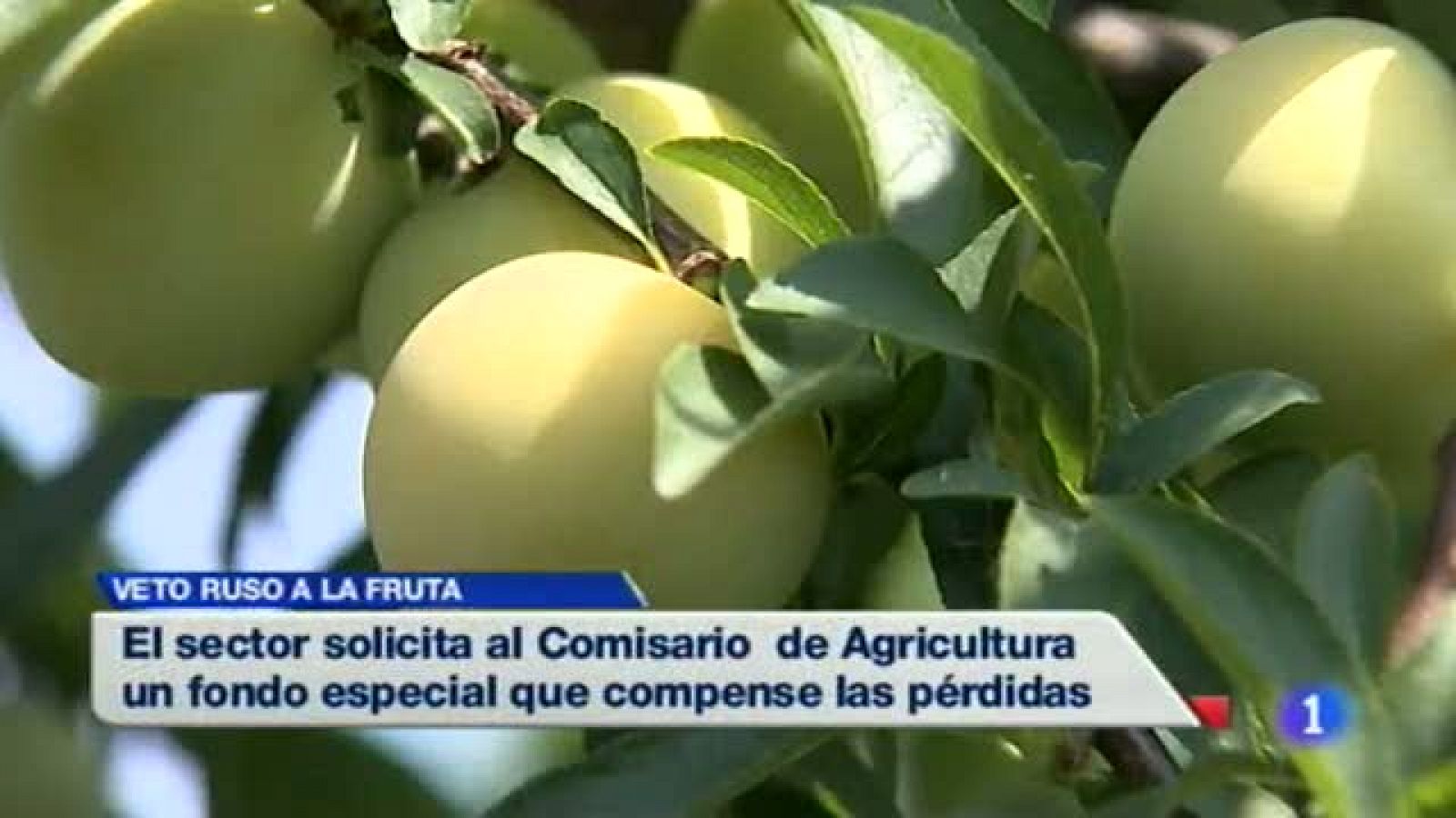 Noticias de Extremadura 2 - 14/08/2014 | Ver