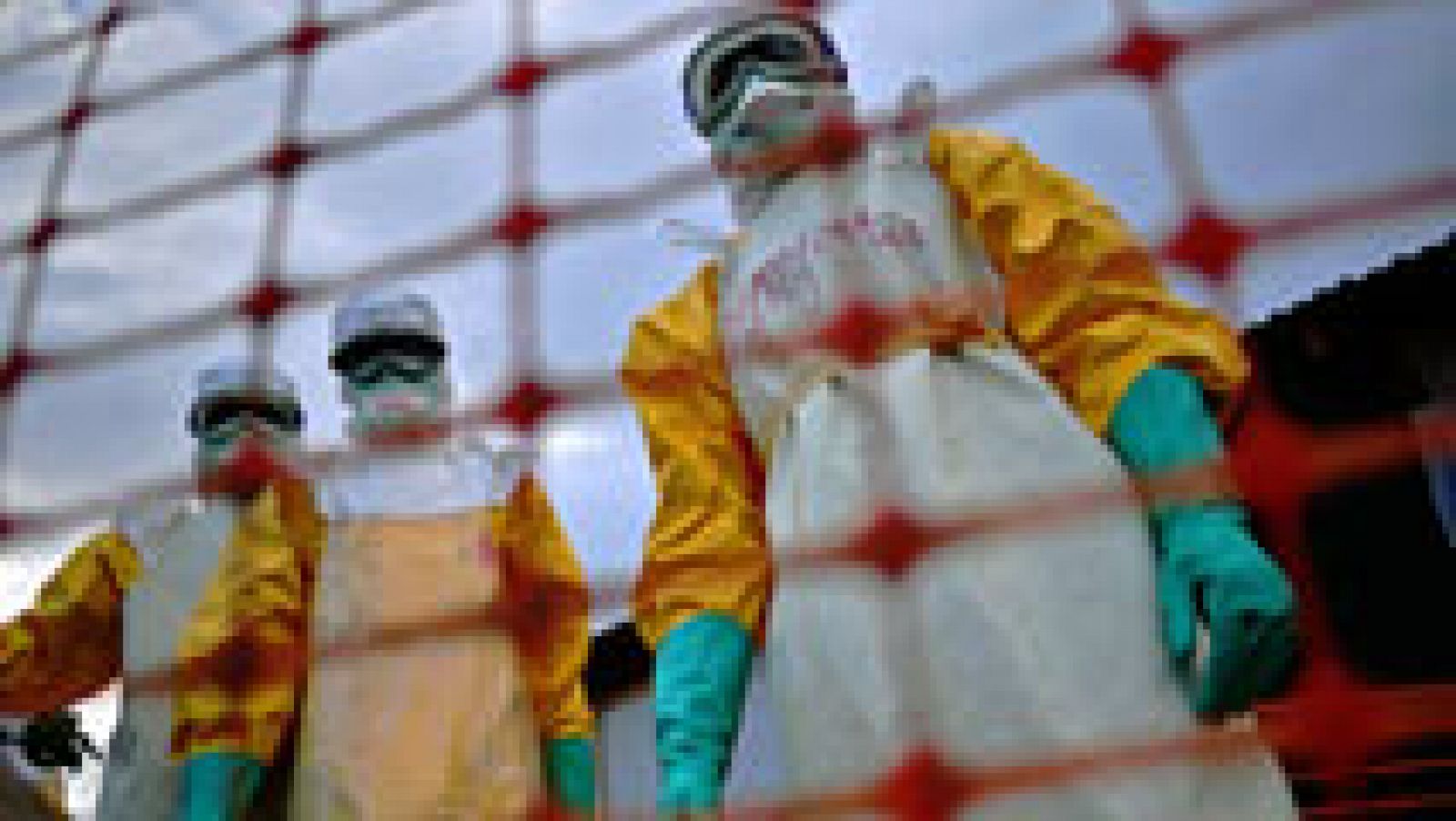 Telediario 1: OMS: El brote de ébola está infravalorado | RTVE Play