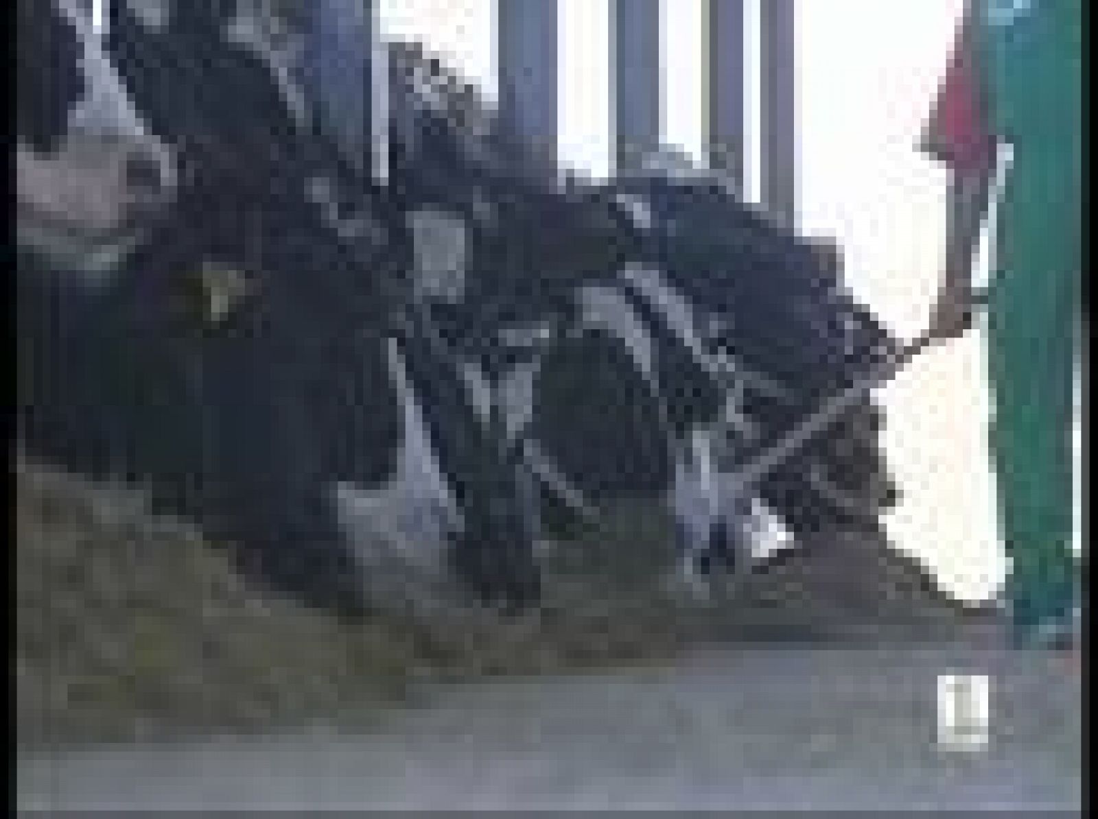 Sin programa: Posible caso de vacas locas | RTVE Play