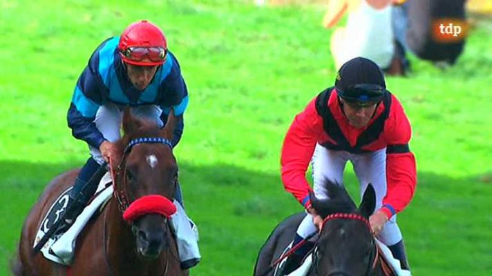 Turf - Turf - 15/08/14