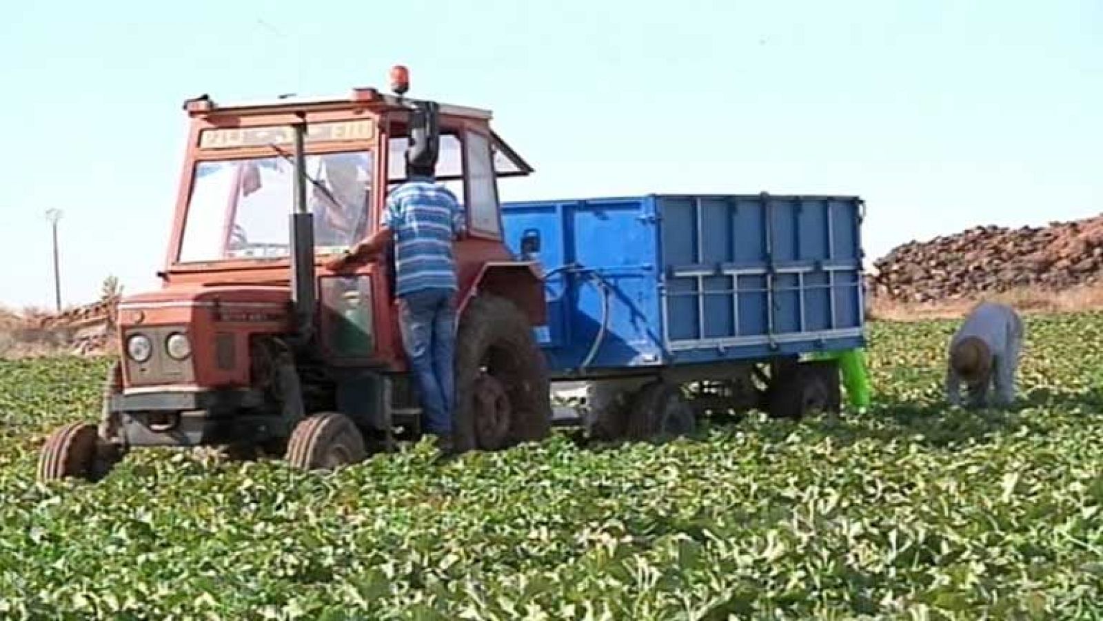 Los temporeros vuelven a ser españoles