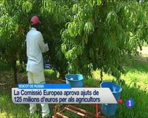 L'Informatiu - L'informatiu en 3' - 18/08/2014