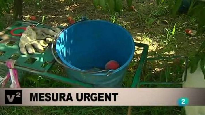 Vespre a La 2 - Vespre a La 2 - Informatiu - 14/08/2014