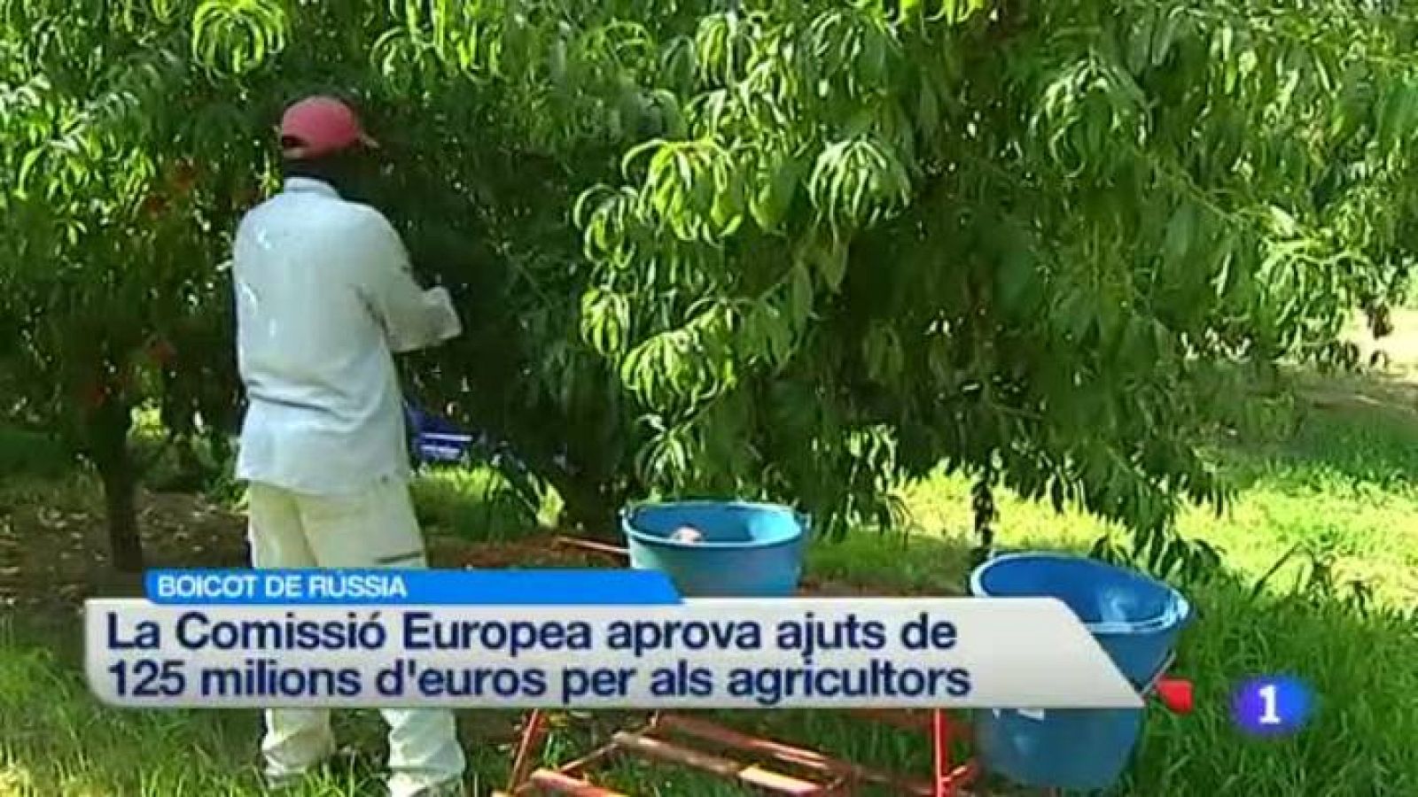 L'informatiu - 18/08/2014