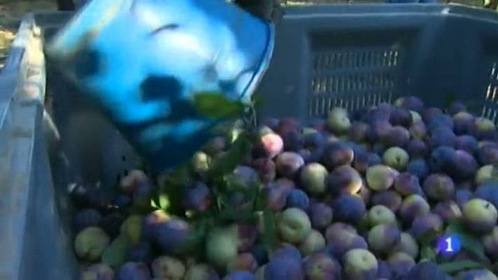 Noticias de Extremadura - Noticias de Extremadura 2 - 18/08/2014