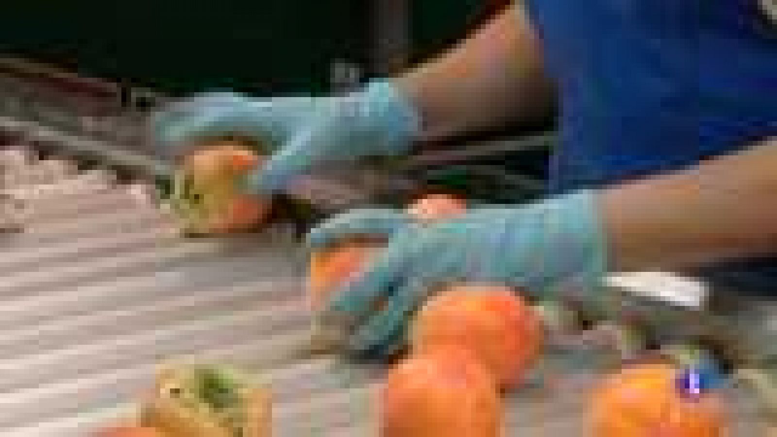 La Comunidad Valenciana en 2' - 19/08/14 - Ver ahora