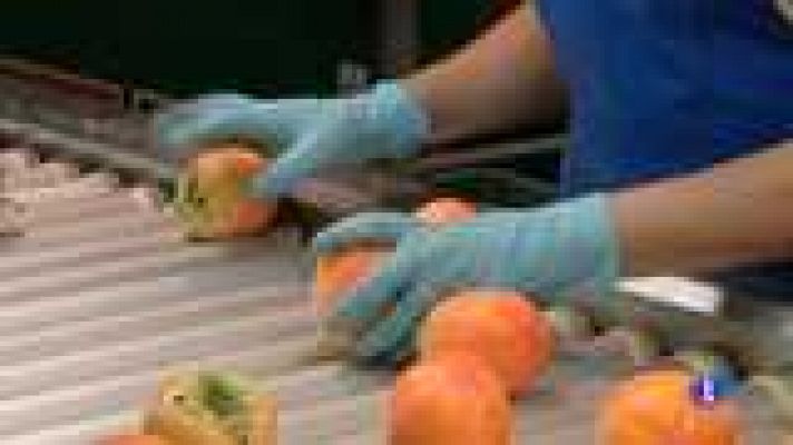 L'informatiu - Comunitat Valenciana - La Comunidad Valenciana en 2' - 19/08/14