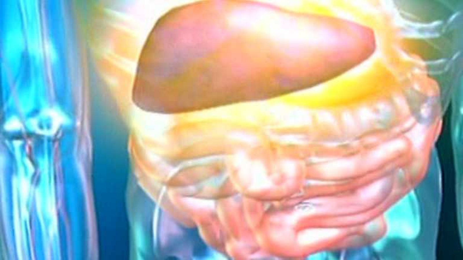 La mañana - Primera parte - 19/08/14 - ver ahora