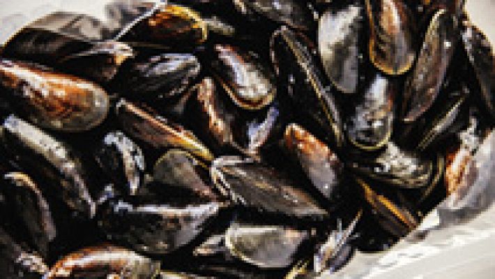 Telediario 1 - Marea roja cierra bateas de mejillón