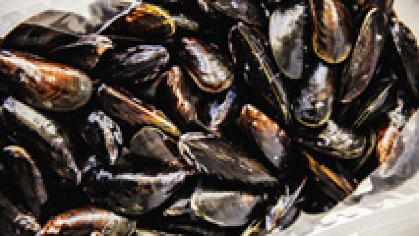 Casi el 90% de las bateas dedicadas al cultivo de mejillón en las rías gallegas están cerradas