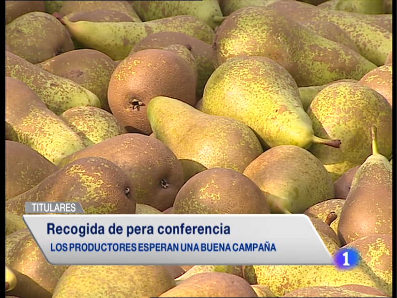 Informativo Telerioja - 20/08/14 | Ver