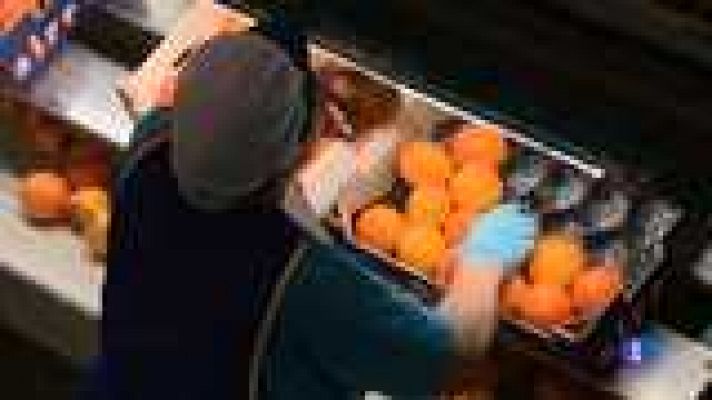 L'informatiu - Comunitat Valenciana - L'Informatiu - Comunitat Valenciana 2 - 20/08/14