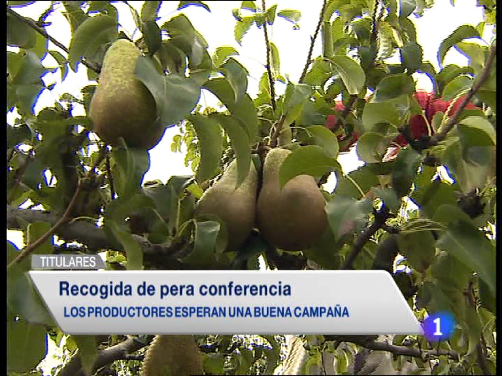 Informativo Telerioja 2 - 20/08/14 | Ver