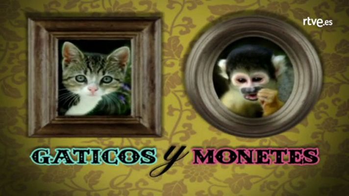 Cómo nos reímos - Tomas falsas de 'Muchachada Nui'