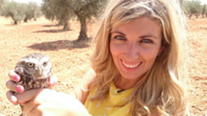 Aquí la Tierra - Misión: cada mochuelo a su olivo