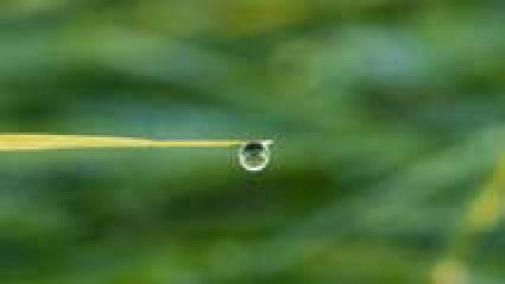 El tiempo - Lluvias débiles en el Cantábrico occidental