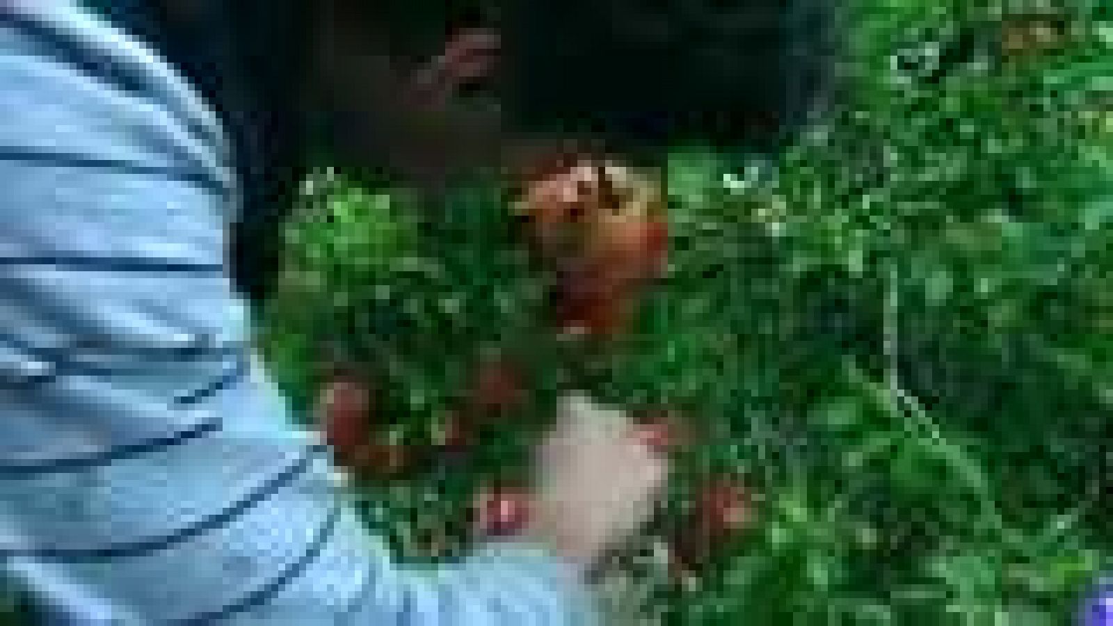 L'Informatiu - Comunitat Valenciana - 21/08/14 - Ver ahora