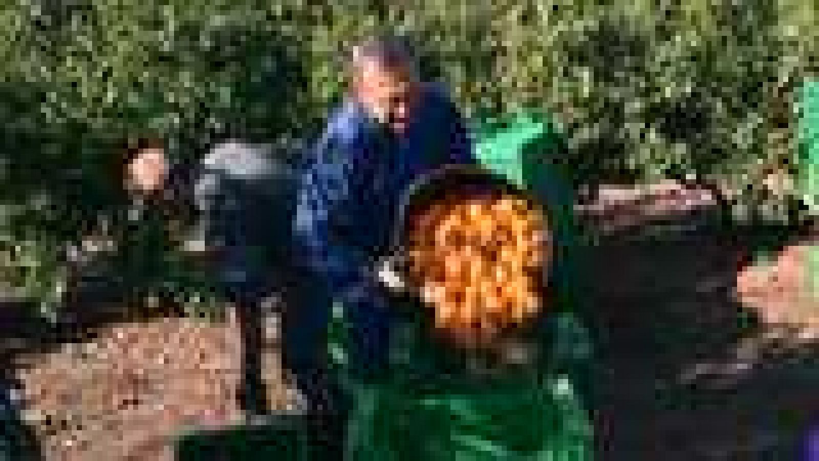 La Comunidad Valenciana en 2' - 21/08/14 - Ver ahora