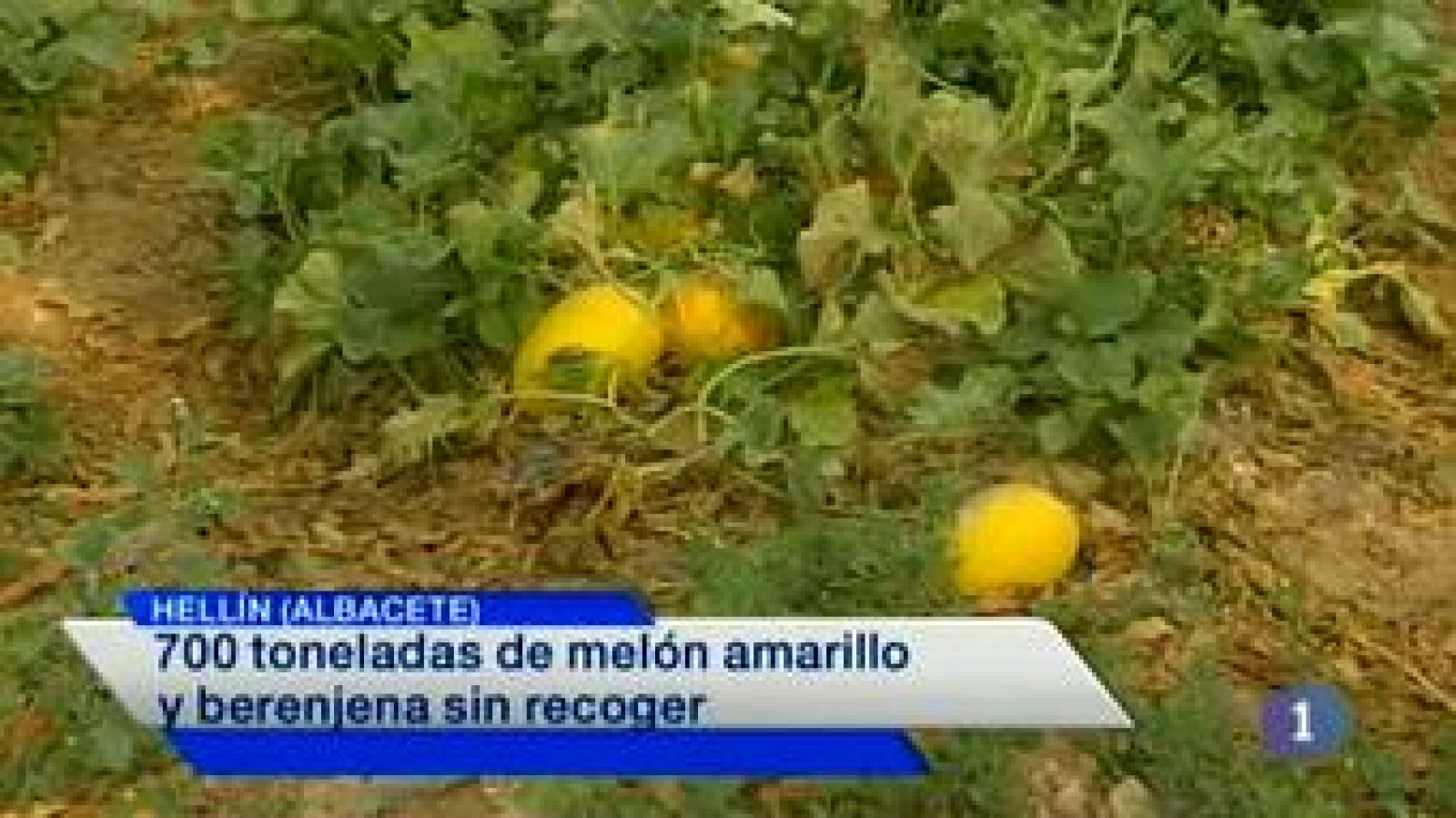 Noticias de Castilla-La Mancha: Noticias de Castilla-La Mancha - 21/08/14 | RTVE Play