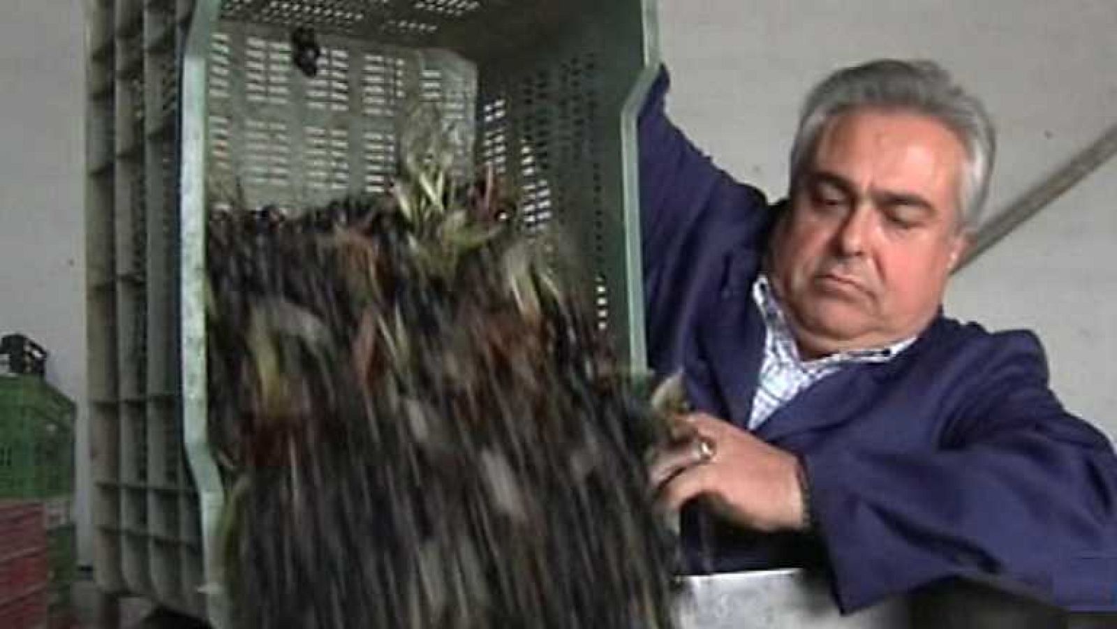 Emprende - 21/08/14 - Ver ahora