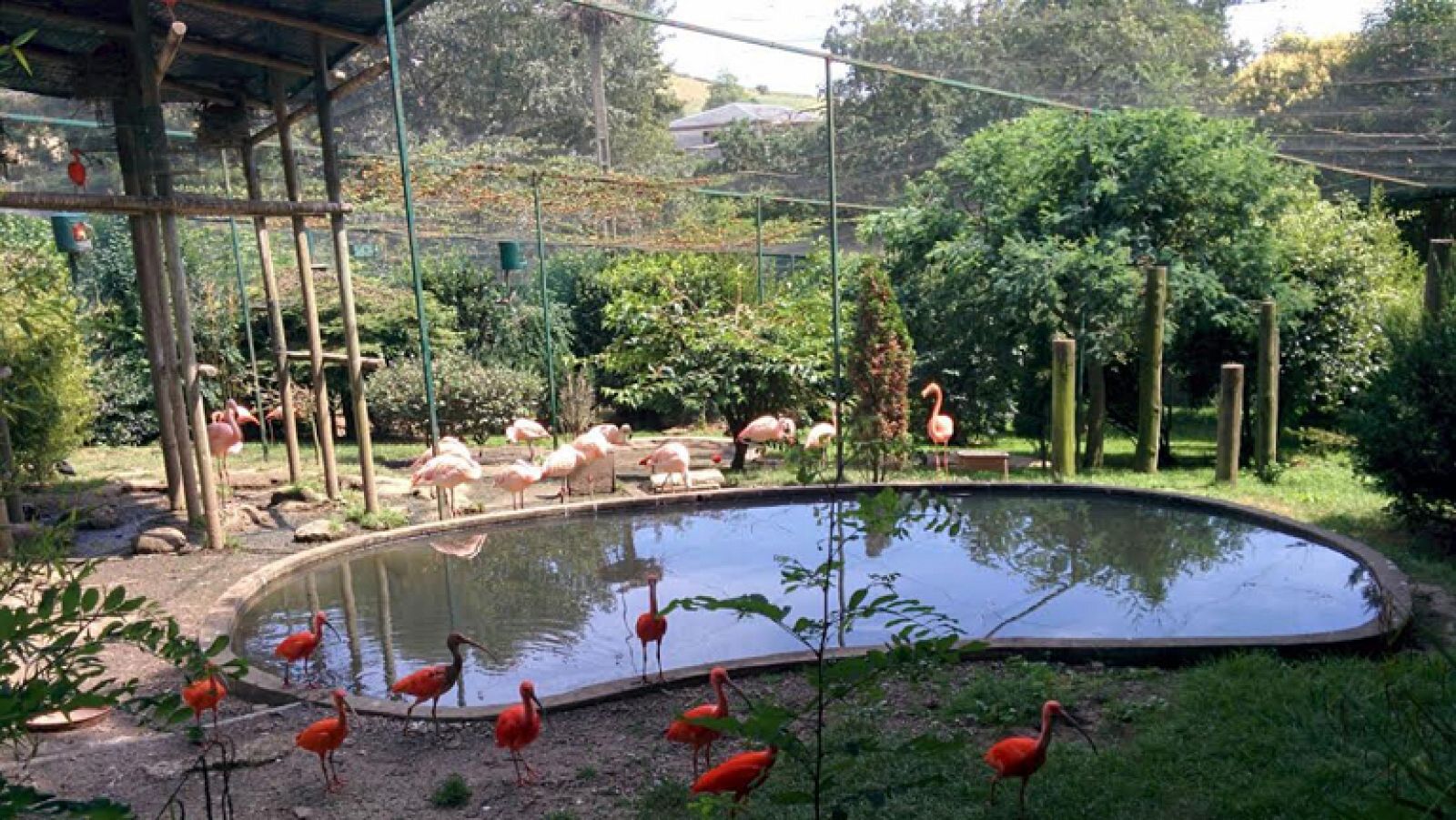 El zoo de Santillana: mi familia y otros animales