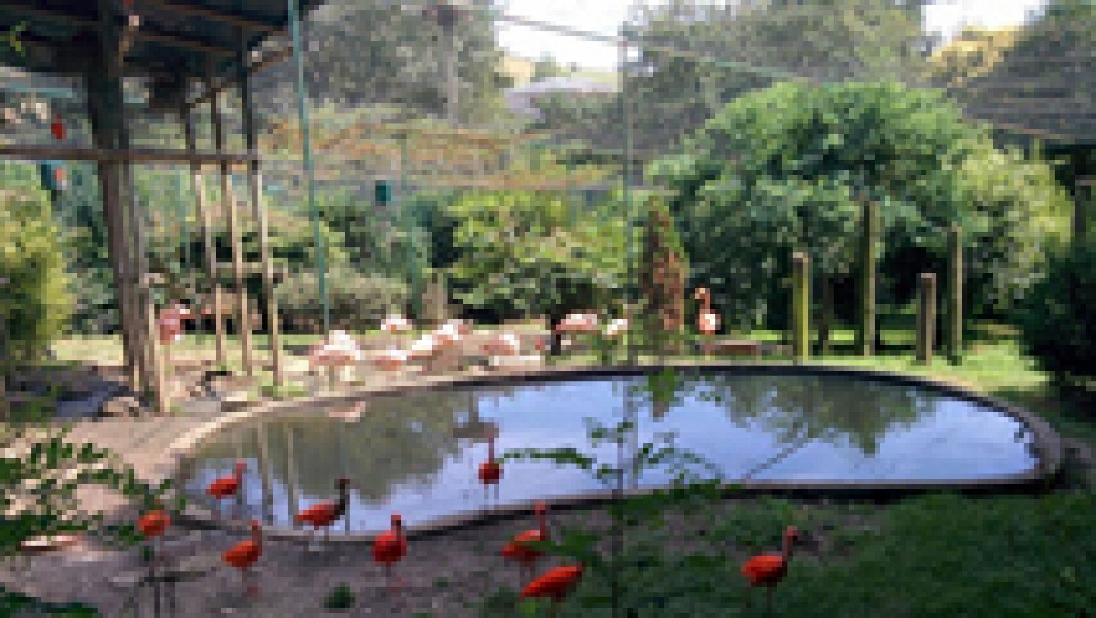 El zoo de Santillana: mi familia y otros animales