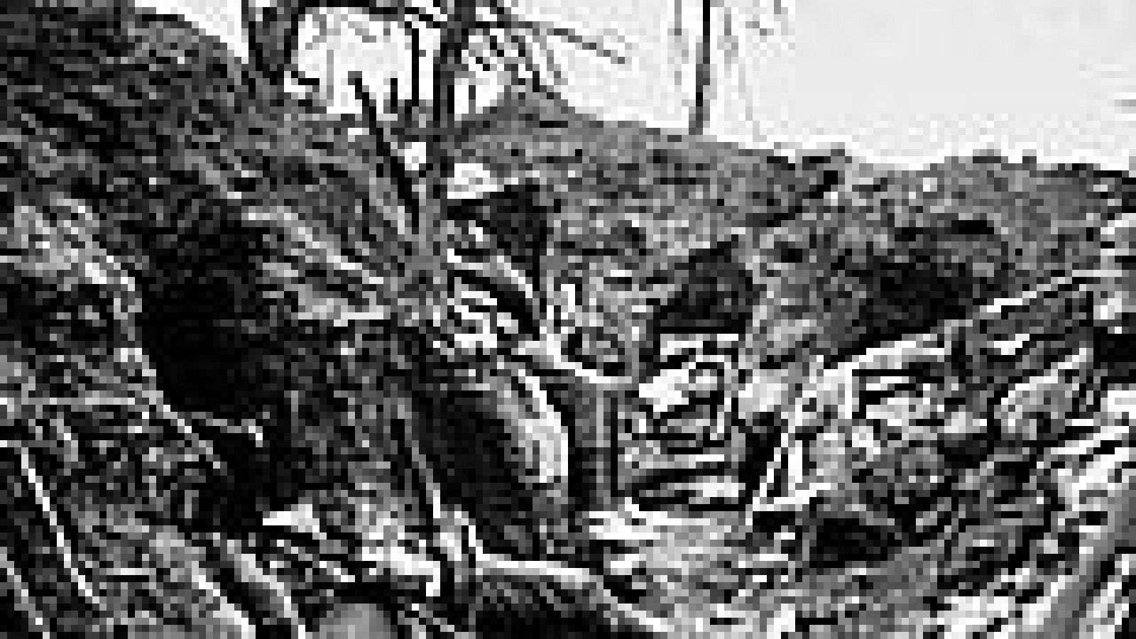 UNED - Literatura Inglesa de la Primera Guerra Mundial: Poetas en las trincheras (I) - 25/07/14 - RTVE.es