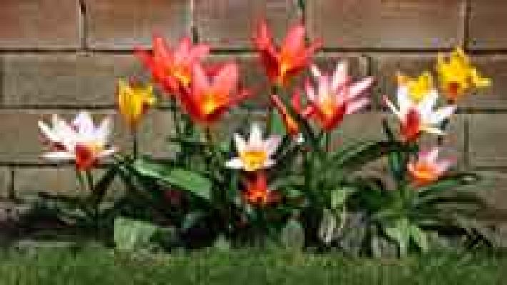 Informativo de Madrid - El Tiempo en la Comunidad de Madrid - 22/08/14