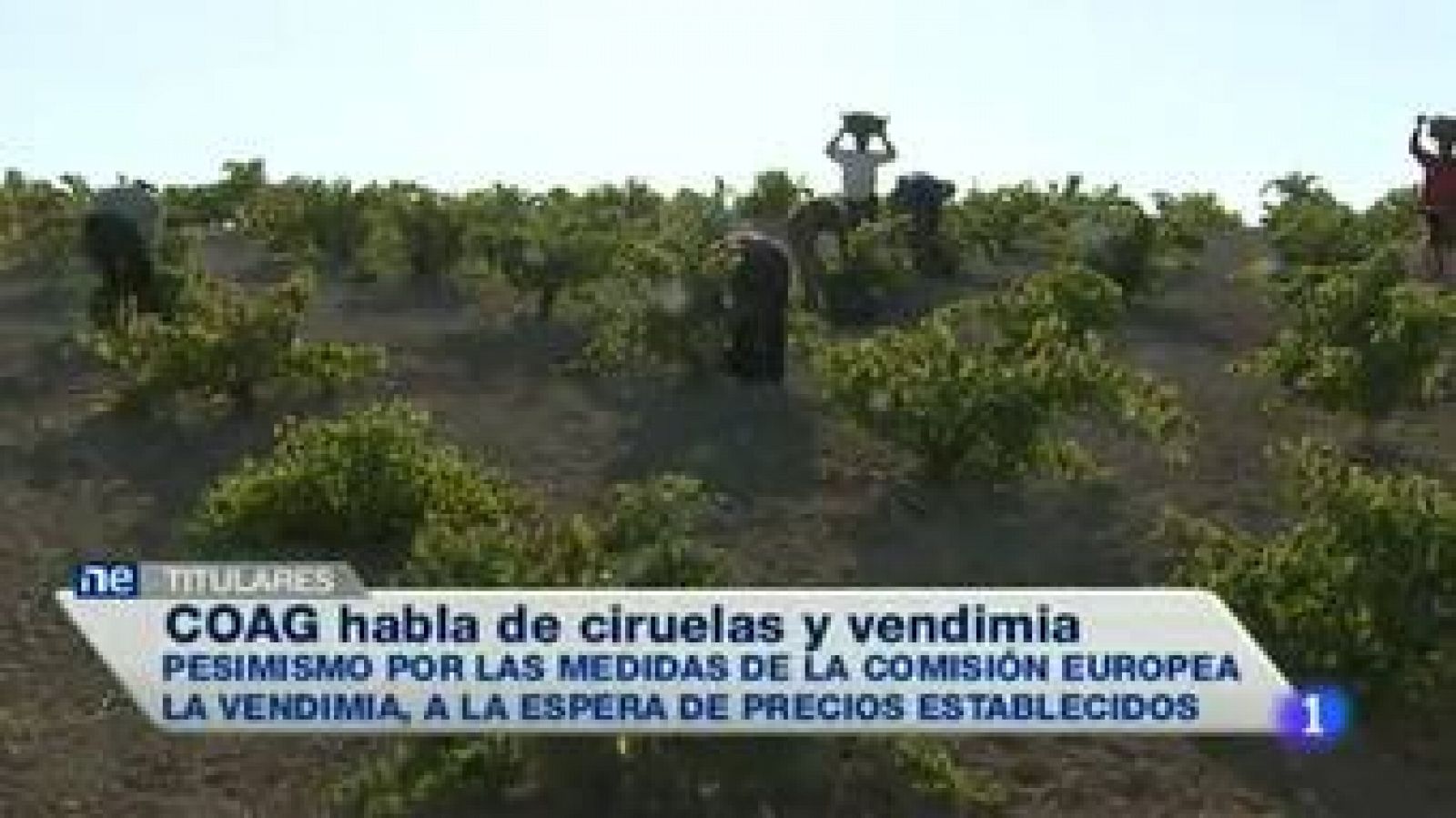 Noticias de Extremadura: Noticias de Extremadura - 22/08/2014 | RTVE Play