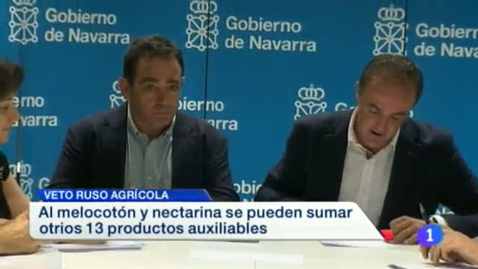 Telenavarra en 2' - 22/08/2014 | Ver