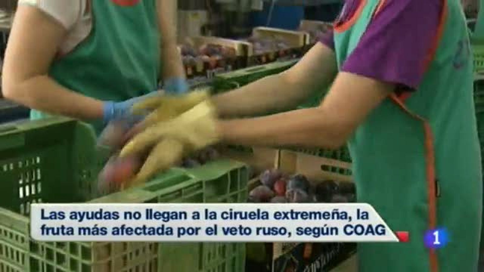 Noticias de Extremadura: Noticias de Extremadura 2 - 22/08/2014 | RTVE Play