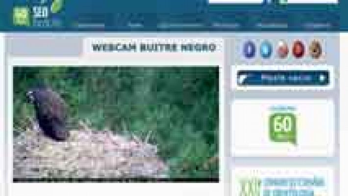 Telediario 1 - Una webcam que nos lleva a la misma sabana africana