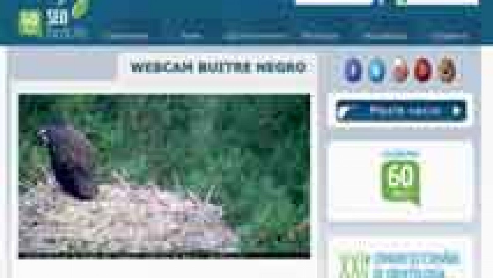 Una webcam que nos lleva a la misma sabana africana
