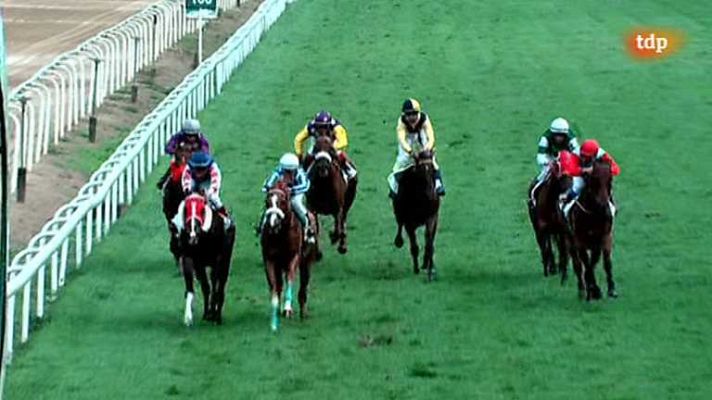 Turf - Turf - 24/08/14