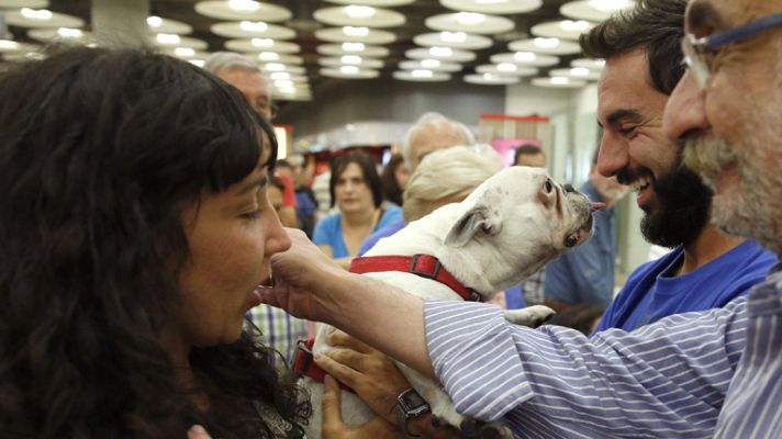 Telediario 1 - Los dos supervivientes españoles del naufragio de un barco turístico en Indonesia llegan a Madrid