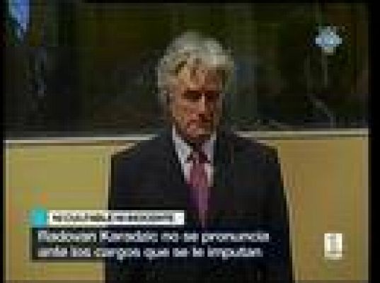 Karadzic, ante el TPIY