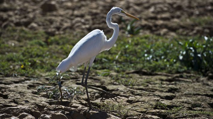 El tiempo - Temperaturas significativamente altas en Andalucía, Murcia y Valencia