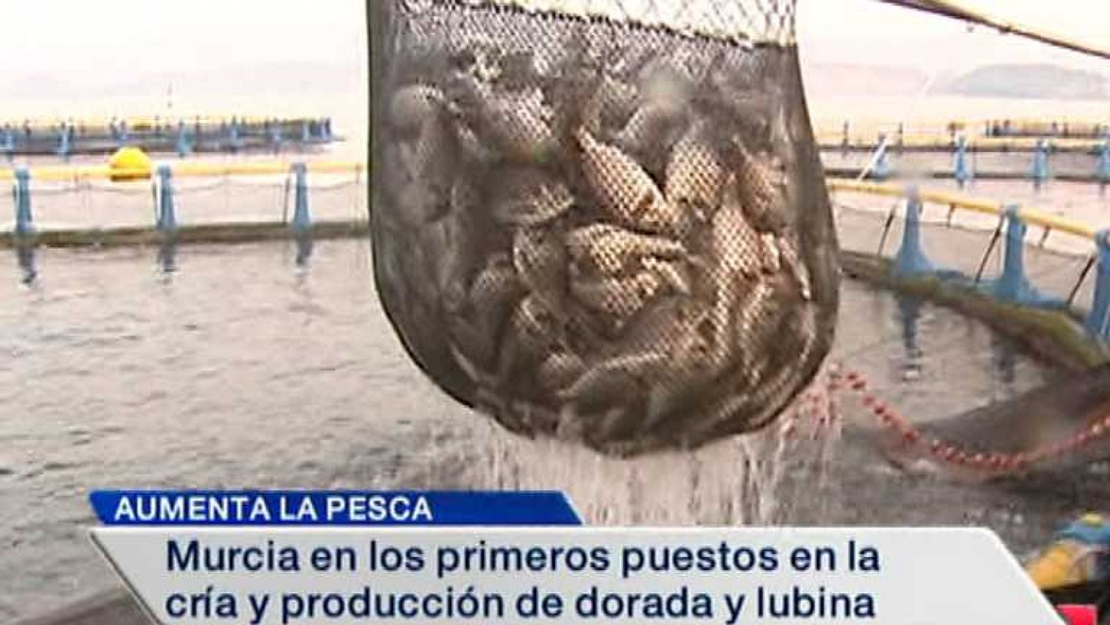 España en 24 horas - 27/08/14 - Ver ahora