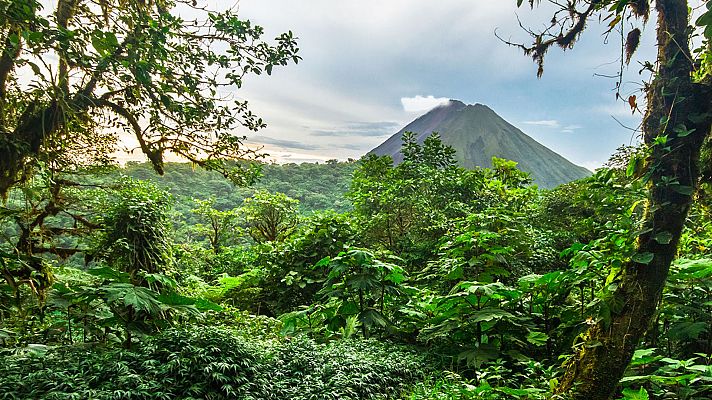 Costa Rica, fuego fértil