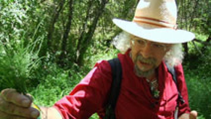 Aquí la Tierra - Plantas "mágicas" para la salud