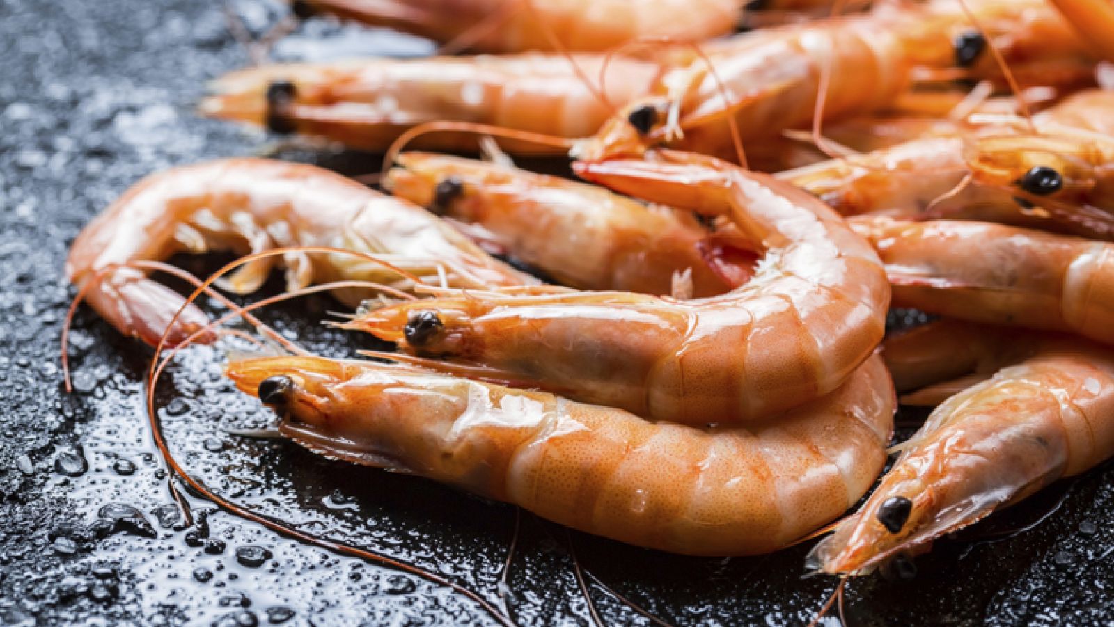 El viaje al pasado del langostino Pedro Romero