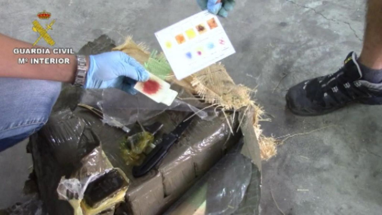 Telecanarias - 29/08/14